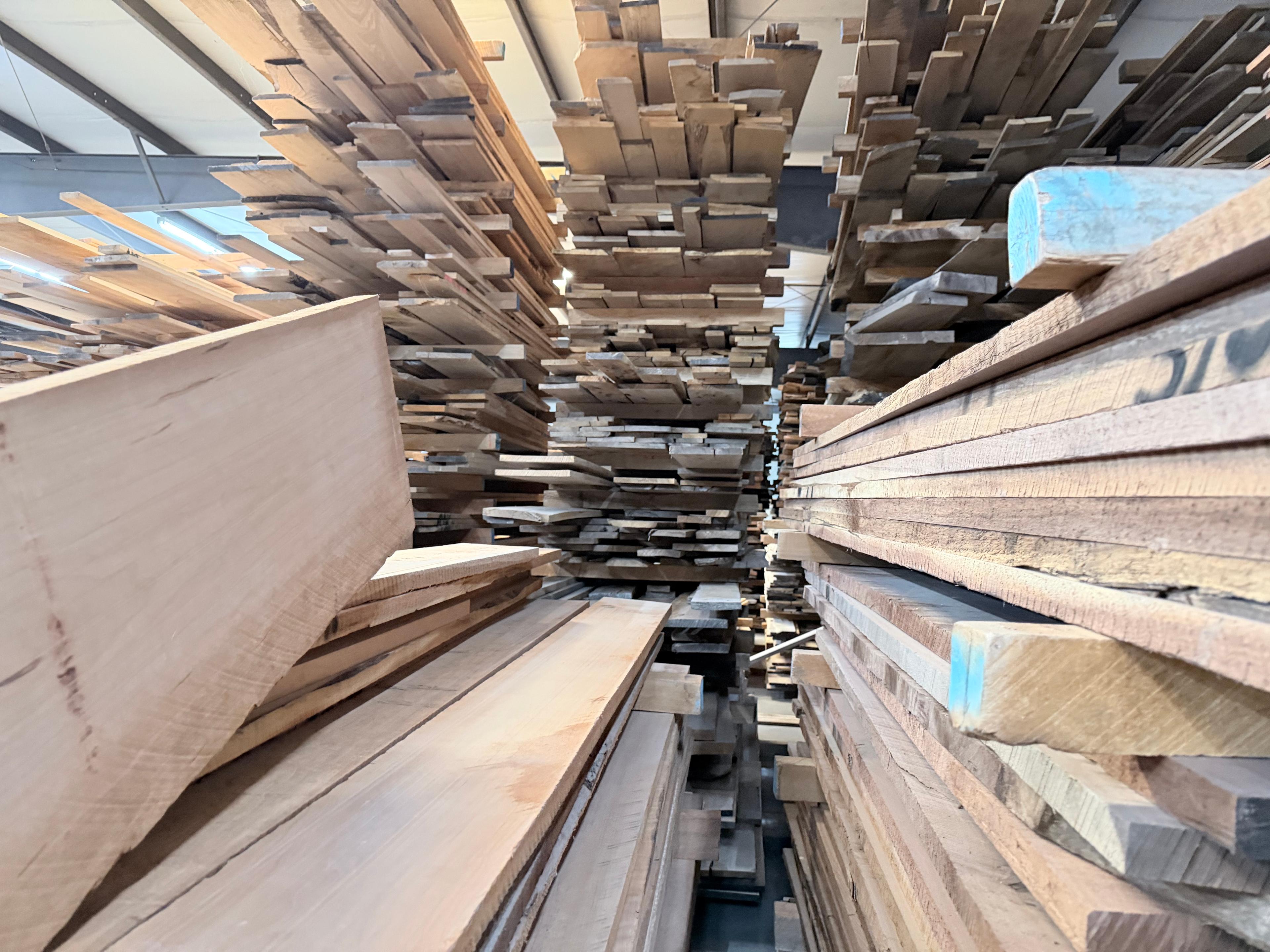 Spanish cedar drying — lighter than mahogany, more resonant.